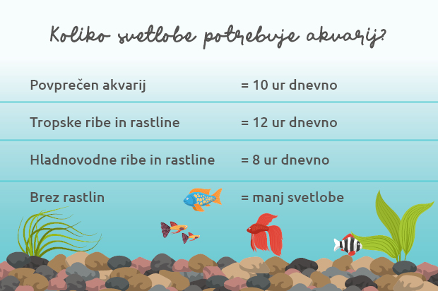 Zakaj izbrati Petkult Probiotic